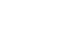 Mountadapt